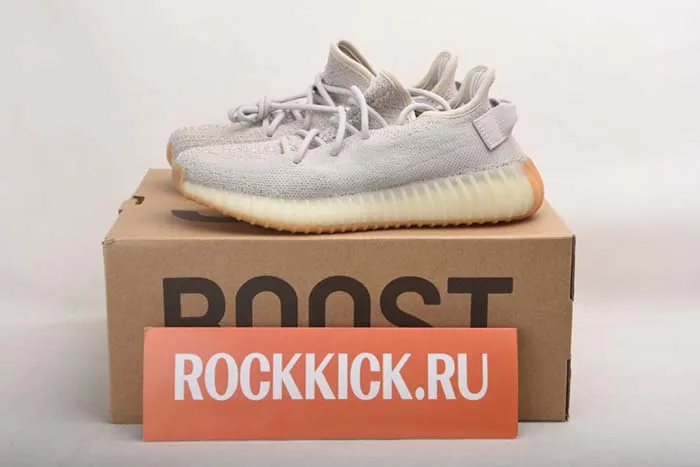 Adidas Yeezy Boost 350 V2
