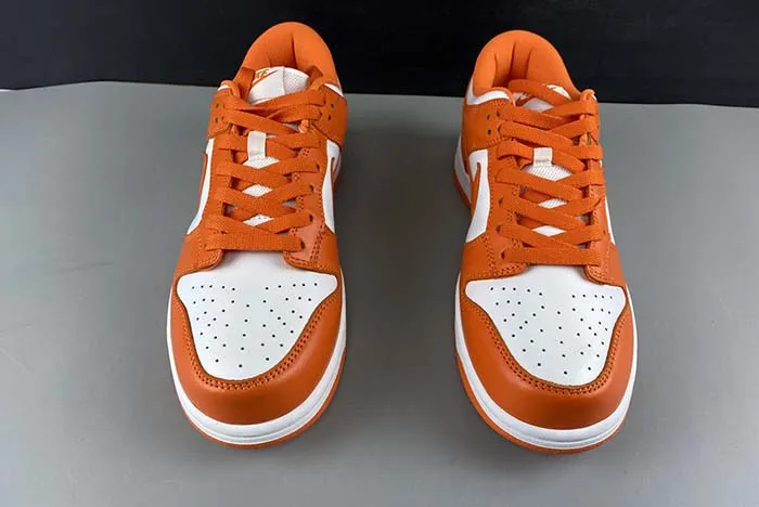 Nike Dunk SB low CU1726-101