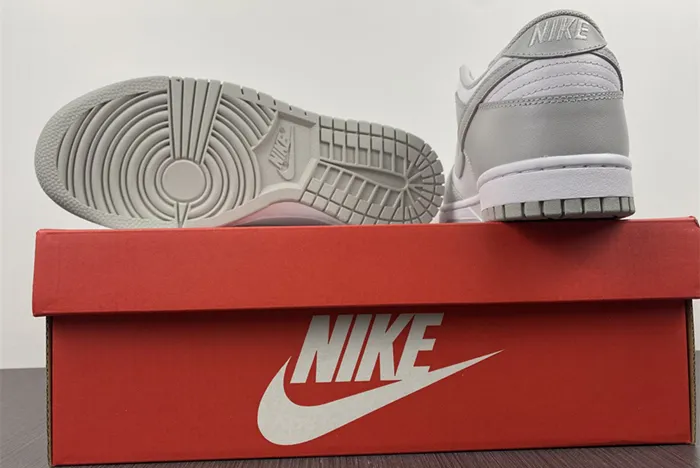 NIKE DUNK LOW GREY FOG DD1391 103