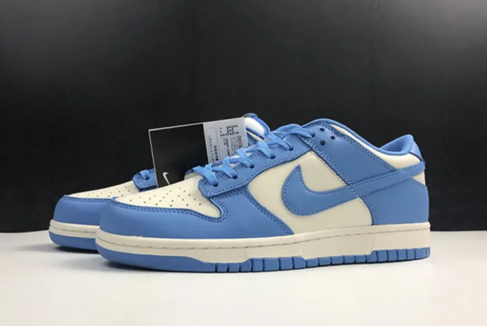 Nike Dunk Low Coast DD1503-100
