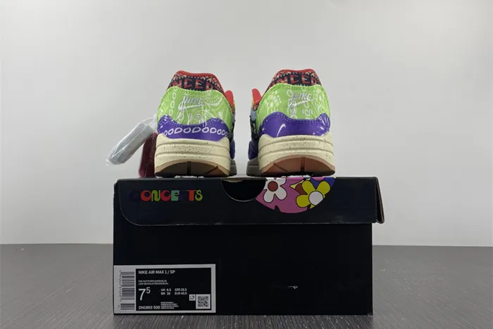 Concepts x Nike Air Max 1 Far Out Wild Violet Multi Color Sail DN1803 500