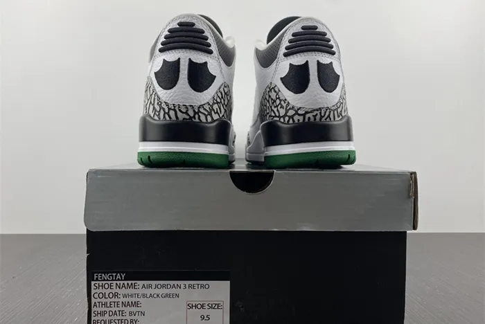 Air Jordan 3 retro Oregon PIT Crew 594282-233