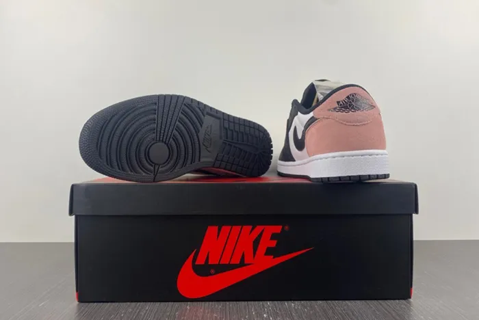BLEACHED CORAL AIR JORDAN 1 RETRO LOW CZ0790-061