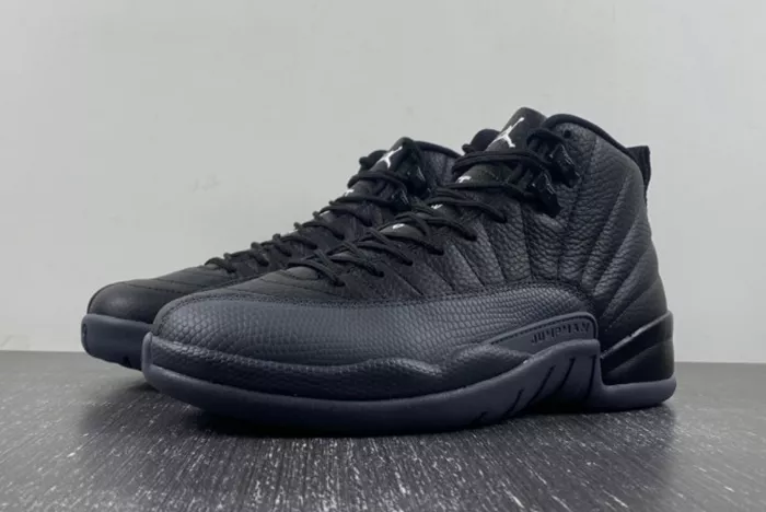 Air Jordan 12 Black/Wolf Grey CT8013-019