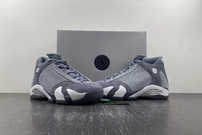 Air Jordan 14 Gool Gray FJ3460-012