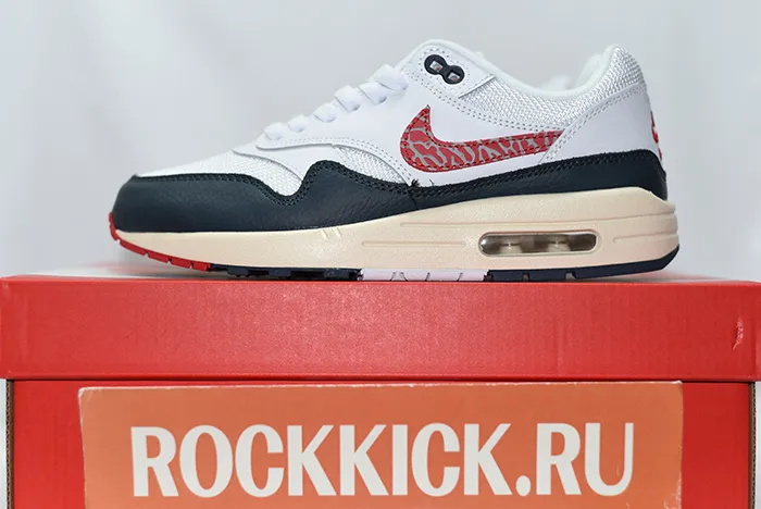 Nike Air Max 1 DH1348-146